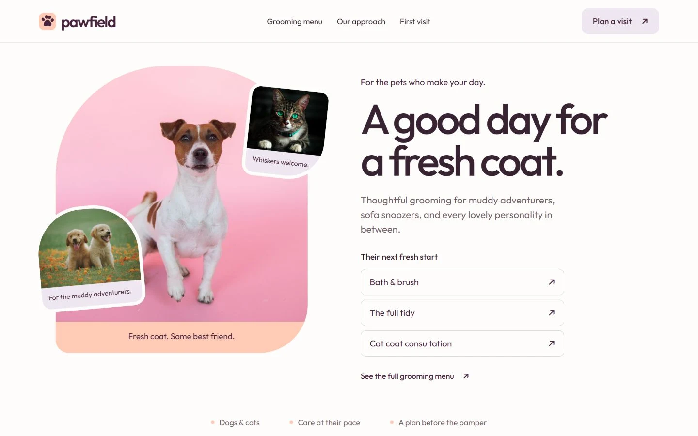Pet care collection: Pawfield preview